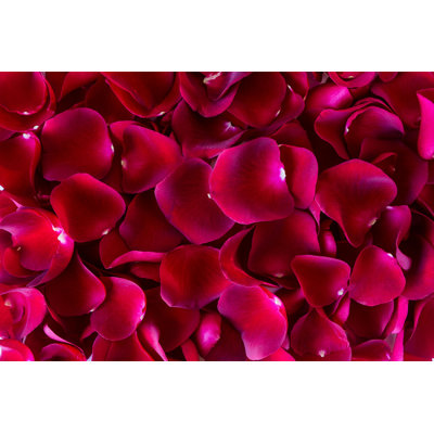 Red Red Petals - Photographie sur toile tendue