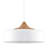 Deylin 1 - Light Dome Pendant