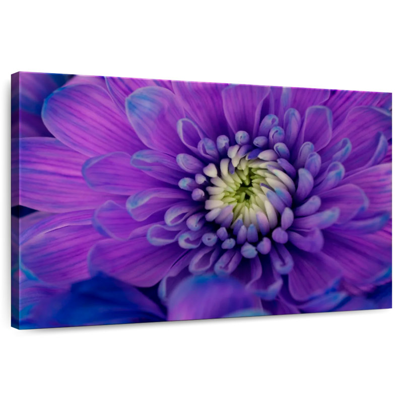 Harnek Purple Mum