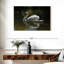 Swan Lake Reflection-107960750