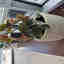 Customer photo 2 of 2