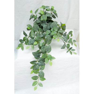 Faux Fittonia Plant