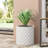 PLANTER
