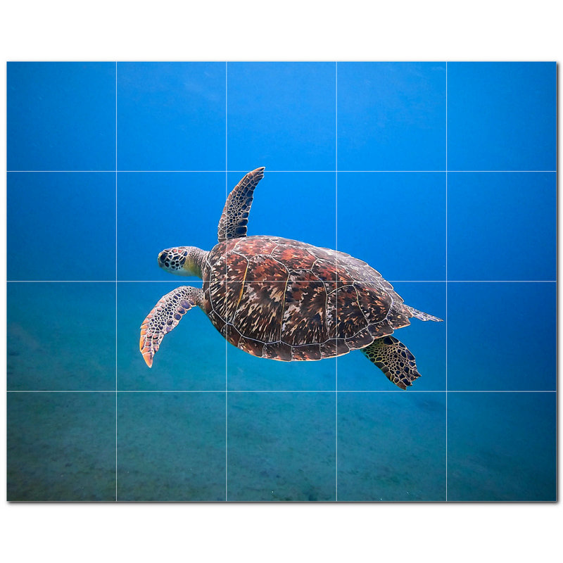 Murale en céramique satinée 6 po x 6 po Turtle Photo