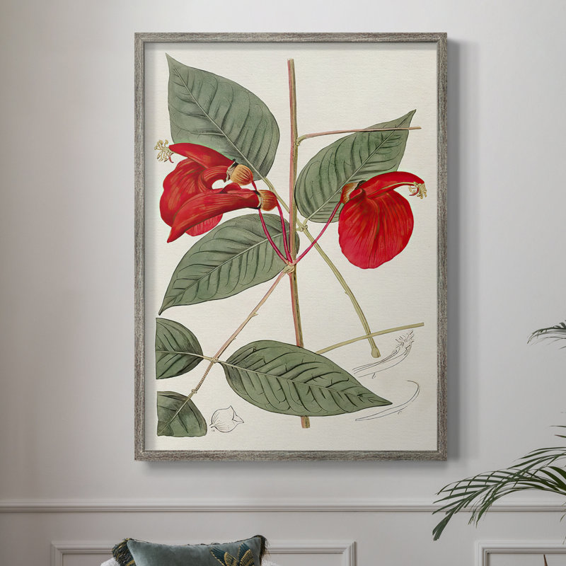 Impression encadrée FloraOf TheTropics II - bois massif, H 21 po x l 17 po