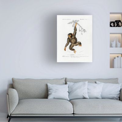 Bolog Charles Dessalines D Chimpangze Canvas Art