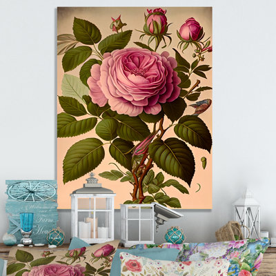 " Blossoming Vintage Rose I "