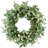 D24" Foliage/Cedar Wreath, Green