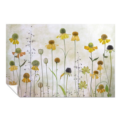 Summer Yellow Flowers Botanical - No Frame Print
