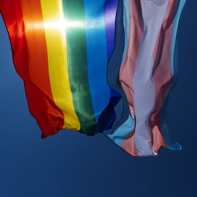 Bystrom Gay And Transgender Pride Flags by Nito100 - Wrapped Canvas Print