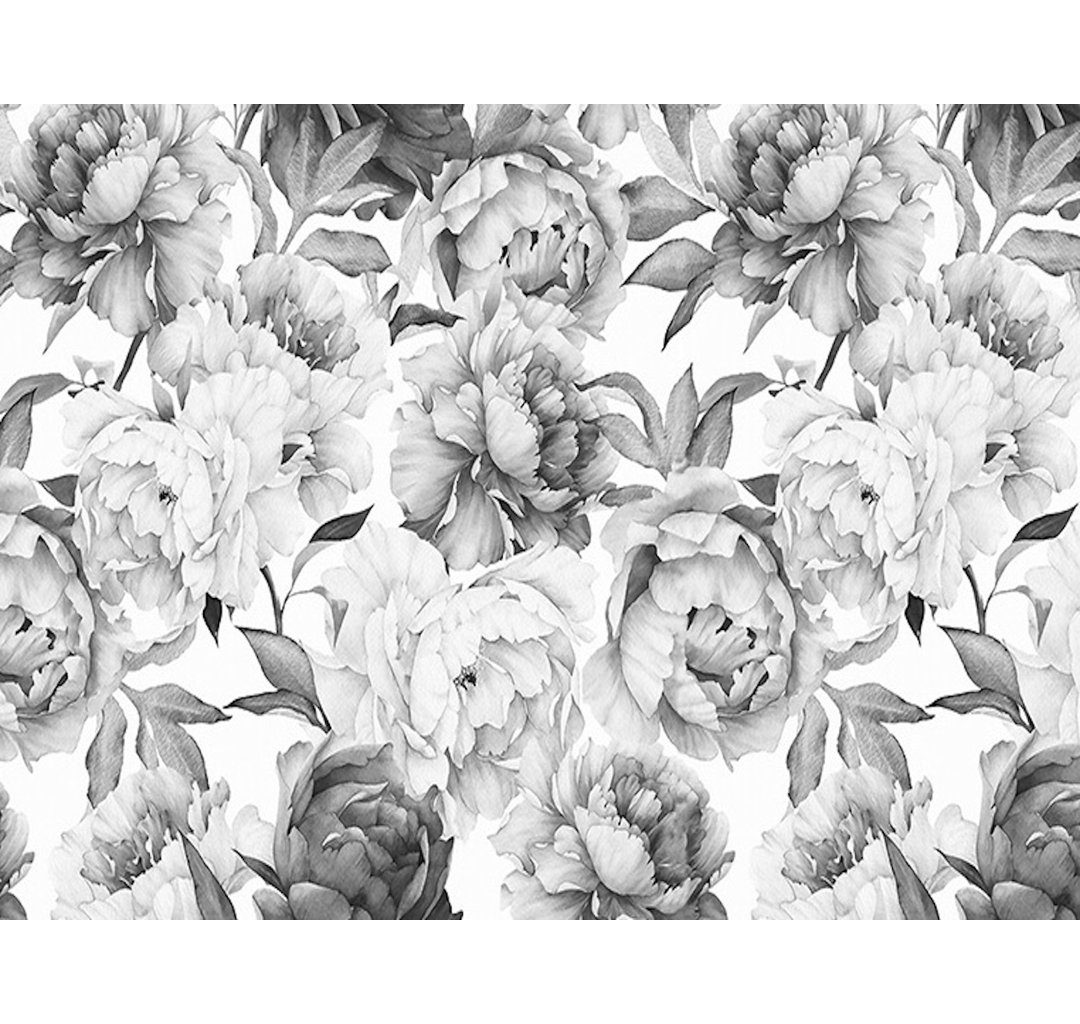 Xzavien Charcoal Flower Monochrome Peony TEXTILE Wallpaper Red Barrel Studio® 