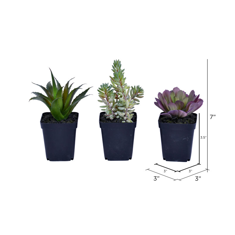 7'' Faux Succulent in Pot
