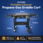 Gril à 2 brûleurs Razor Griddle