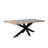 Discover Modern Elegance - Rectangle Dining Table with Mango Wood Top and Sturdy Spider Legs-832280155