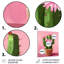 Fleurs de cactus en pot - Art mural floral cactus-1635055962-1635055982