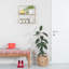 Aber 2 Piece Square Accent Shelf-1055299488
