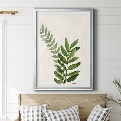 " Botanical Wash II "