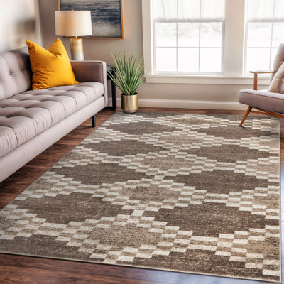 Tapis beige et brun de style sud-ouest