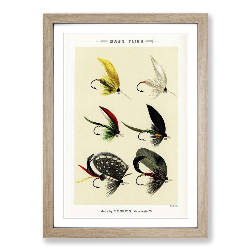 Bass Fishing Flies Versions 6 by Mary Orvis Marbury - Picture Frame Painting Print, 48cm H x 36cm W x 2cm D, Oak Framed
