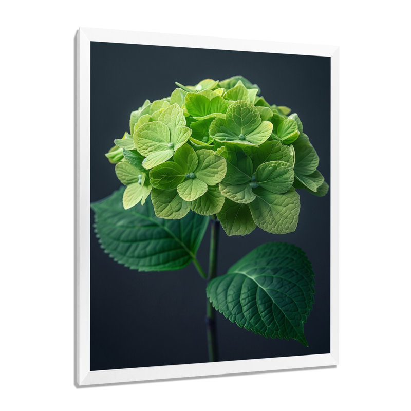 Élégant emblème vert gris hortensia, art mural hydrangées, Cadre simple blanc, H 16 po x l 32 po