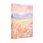 Plantes et fleurs Fleurs pastel Papillons Montagnes Ciel Lumière Étincelle Champ-1441226728