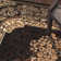 Arkin Oriental Indoor Rug