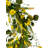 Wreath 20 Inch Artificial Wild Mountain Daisy-712864160