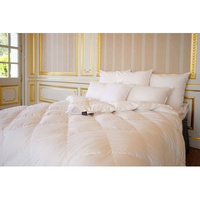 Couette européenne en duvet d'oie 1200G (grand) - très chaude
