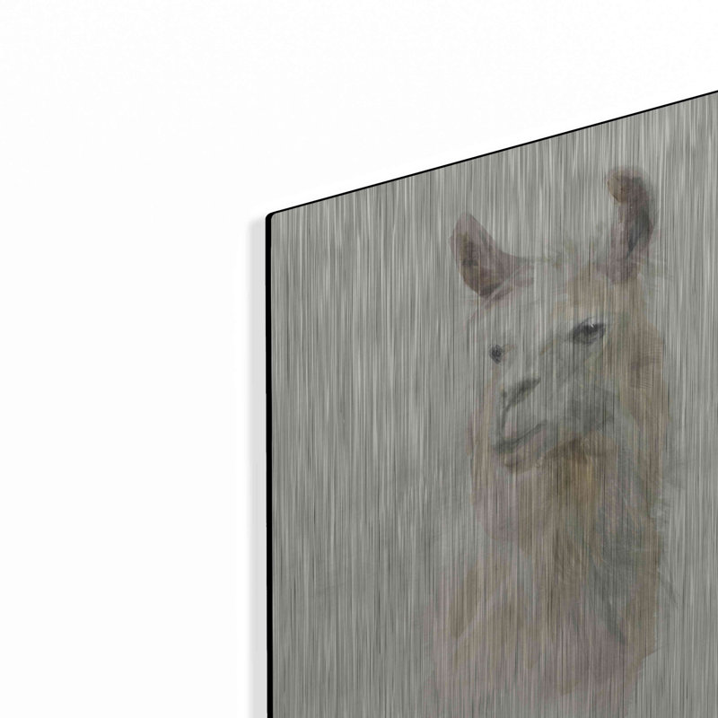 «Classic Llamas II» par Danhui Nai, H 16 po x l 12 po