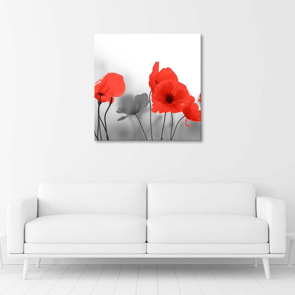 Leinwandbild Red Summer Poppies Nature Grey