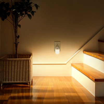 Plug In Night Light