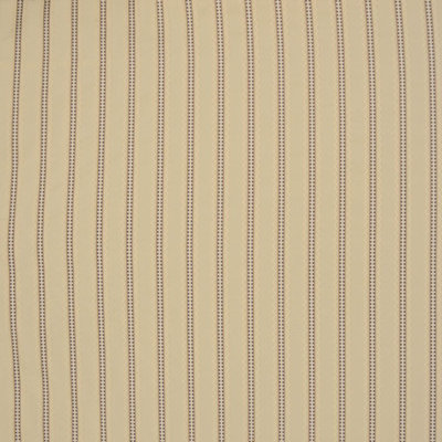 Allure Striped Fabric
