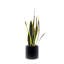 Faux Plant in Ceramic Planter