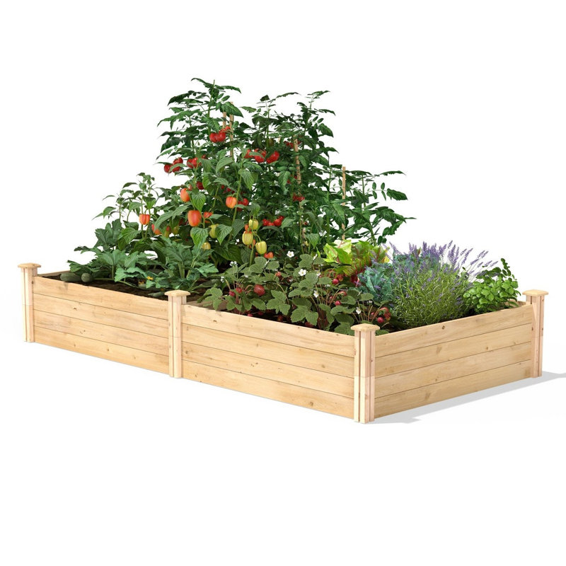 Katsuyoshi Wood Raised Garden Bed, 14" H x 96" W x 48" D, Cedar