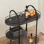 Chariot-bar à 3 niveaux 40 po x 32 po x 14 po-1089299144