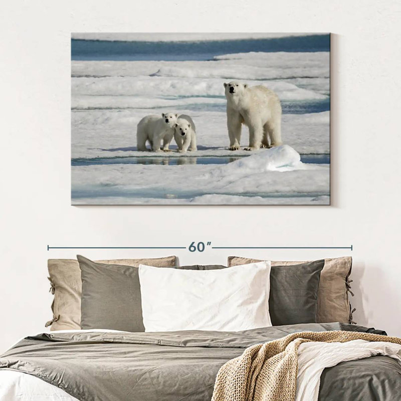 Brampt Longyearbyen Polar Bears