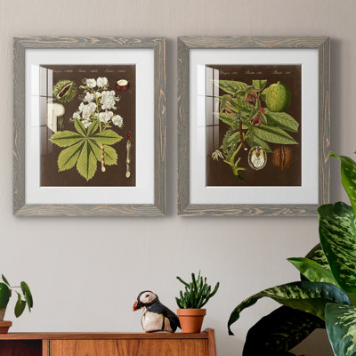 Châtaignier sur suède - ensemble de 2 reproductions d'art graphique