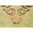 Rug & Kilim’S Distressed Custom Tiger Skin Rug Design In Green With Pictorial-121708825
