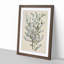 Manuka Flowers by Sarah Featon - Framed Print-55617428-55617427