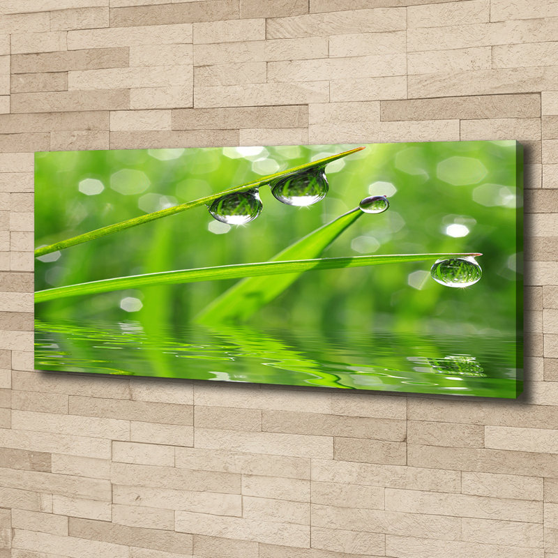 Drops On Canvas The Grass - Wrapped Canvas Print