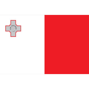 Double Sided 36'' H x 60'' W Nylon House Flag