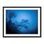 Hanging On Print by Mark Paulda-71200508-132837974