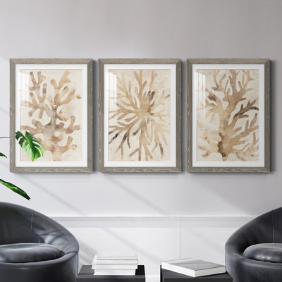 " Parchment Coral I " 3 - Pieces Painting Print