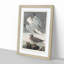 Herring Gulls by John Audubon - Picture Frame Painting Print-55579883-55579873