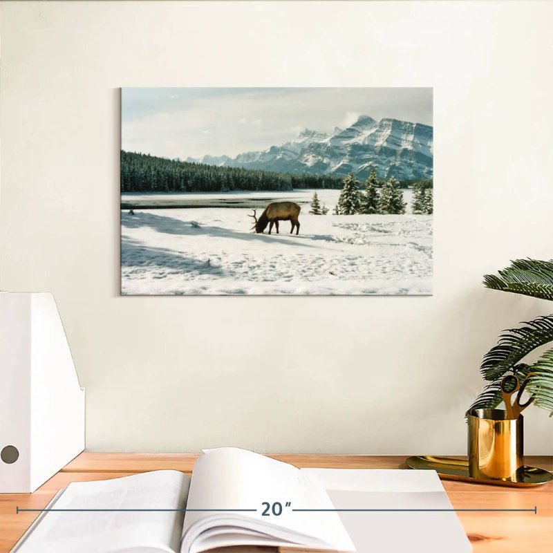 Brampt Banff Bull Elk, 8" H x 12" W