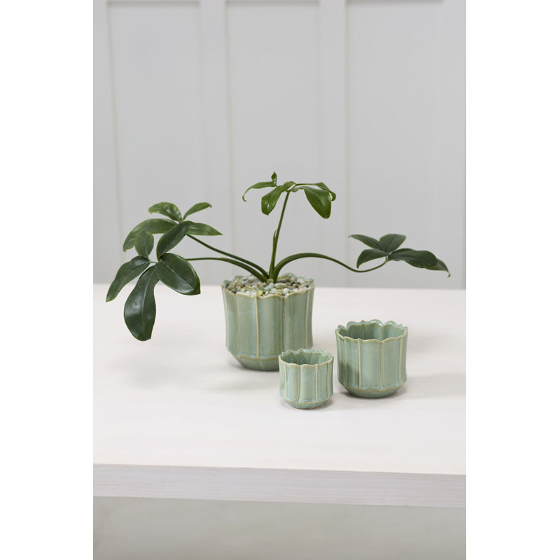 Everleaf Pot - Medium