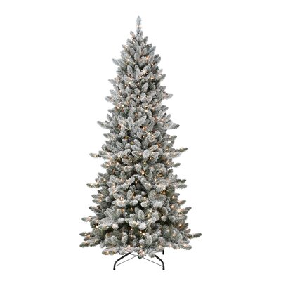 Gwyned 6' 6"" H Slender Green Spruce Christmas Tree with 300 Lights -  The Holiday Aisle®, 32C90ABC2FE24FFAB01C9E5D5C039F1F