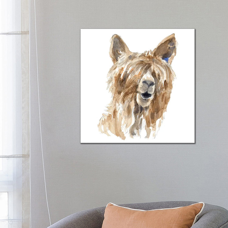 Shaggy Llama by Lanie Loreth - Wrapped Canvas Painting, 66.04 cm H x 66.04 cm W x 3.175 cm D
