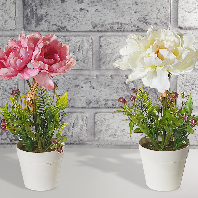 Arrangements floraux de pivoines en pot