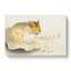 Tiger by Ohara Koson - Wrapped Canvas-55361431
